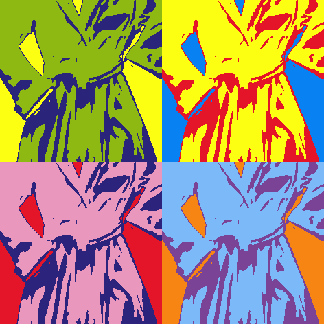 warholbathrobe